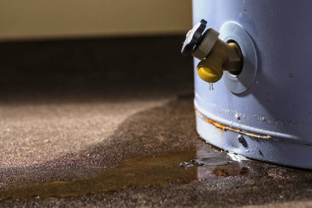 Best Ceiling water damage repair  in Beresford, SD