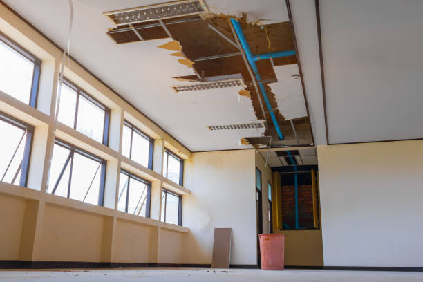 Best 24/7 water damage repair  in Beresford, SD