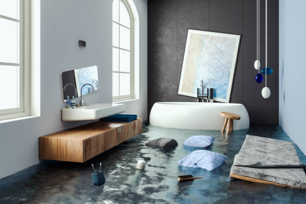 Best Professional water damage repair  in Beresford, SD