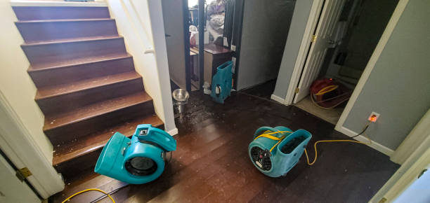Best Residential water damage restoration  in Beresford, SD