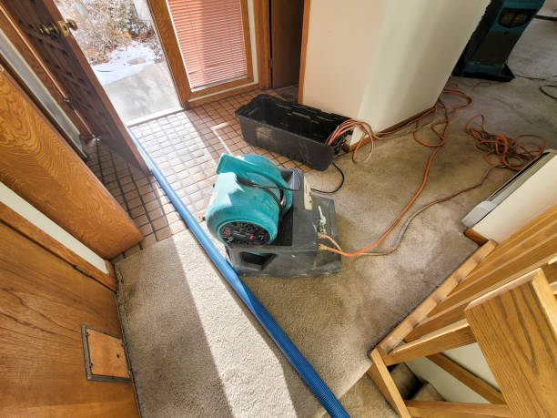  Beresford, SD Water damage restoration Pros