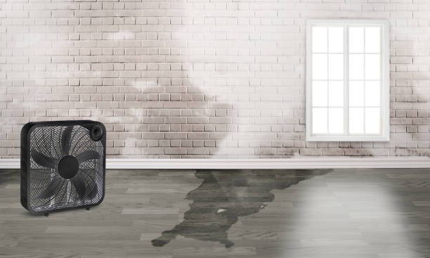 Local water damage restoration in SD
