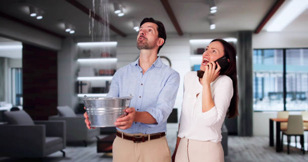 Best Flood damage cleanup  in Beresford, SD