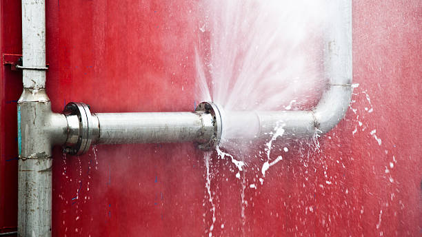 Best Water damage restoration near me  in Beresford, SD