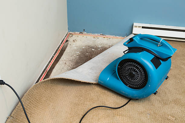 Professional Water damage restoration in SD